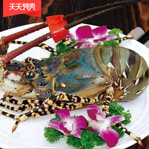 小青龙活冻澳洲龙虾新鲜小青龙龙虾仔野生海鲜活冻中花龙大青龙虾