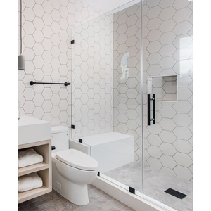 网红极简异形无边框淋浴房一字型夹胶玻璃门卫生隔断干湿分离浴屏