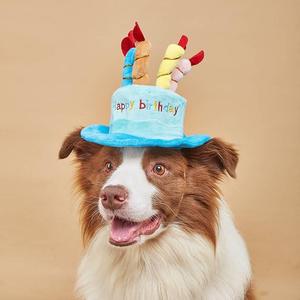 宠物狗狗柯基周岁帽子猫咪生日蜡烛头饰可爱搞怪变身派对拍照道具