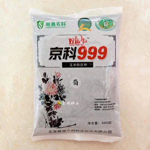 京科999矮杆超级抗倒红轴高产玉米种子夏播耐密杂交大苞米