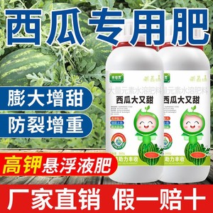 西瓜专用肥料增甜膨大叶面肥甜瓜香瓜哈密瓜防裂增重膨大剂水溶肥
