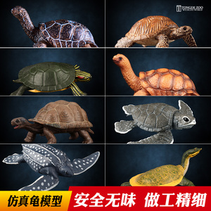 童德乌龟模型儿童仿真动物玩具海洋野生海龟陆龟象龟金钱龟鳄龟
