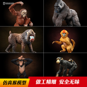 童德仿真猴模型儿童灵长类野生动物玩具猴子黑猩猩金丝猴猿猴猕猴