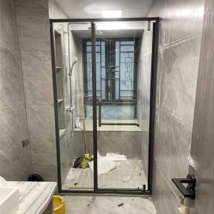 卫斯雅整体一字极简转轴平开门淋浴房干湿分离玻璃移门隔断洗澡间