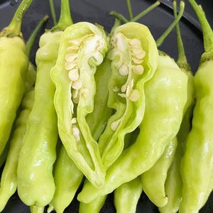 新鲜云南皱皮野山椒泡椒凤爪小米椒特辣