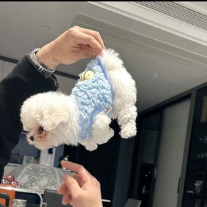 小体比熊专用衣服一斤内茶杯犬小狗狗奶狗xxs秋冬季冬天保暖幼犬