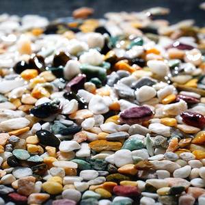 养兰花的石子铺面