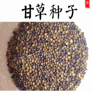 纯新中药材种苗纯新甘草种籽中药材种苗新疆红皮甘草散装