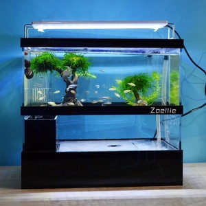 900人付款天猫创意斗鱼鱼缸亚克力桌面小型多格隔离自循环过滤免换水