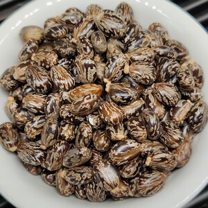 蓖麻子250g中药材蓖麻籽 萆麻子仁 新货精选蓖麻子包邮