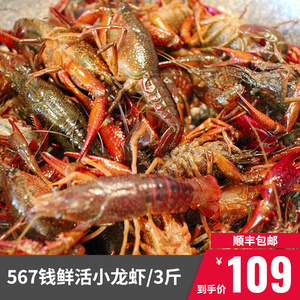 【3斤】鲜活清水小龙虾湖北 洪湖小龙虾567钱食用麻辣蒜蓉油焖虾