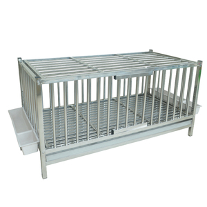 鸡笼子家用室外阳台小型加密家禽耐用加强加厚托盘养殖笼自动清粪