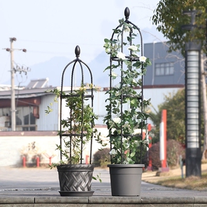 金银花爬藤架植物花卉园艺藤本月季绿萝攀爬支架户外铁艺钢管花架