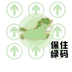 保住绿码胸针持有安全出行勋章卡通徽章男女挂件礼品学生挂饰