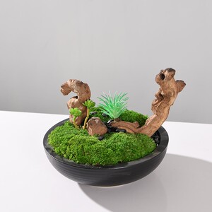 2022新中式意境枯木盆景摆件客厅茶几花艺摆设茶室桌面绿植微景观