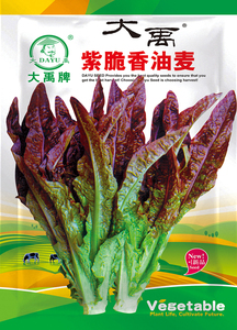 红油麦菜种子火锅蔬菜种籽种叶菜快菜小白菜种孑种籽四季春季盆栽