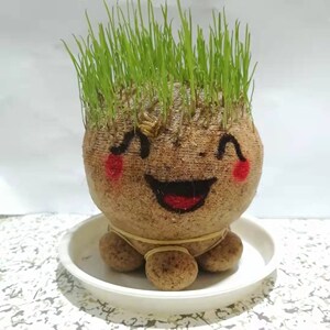 创意day新奇长草娃娃儿童礼品 卡通植物办公室摆件草头娃娃