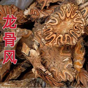 中草药龙骨风