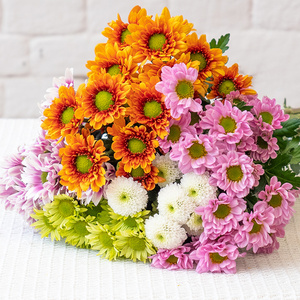 小雏菊纽扣菊云南鲜花花农基地直发鲜切花材家庭水养花期长易养护