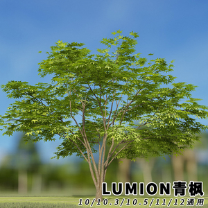 lumion10/11/12精品植物青枫枫树鸡爪槭行道树写实安装方便
