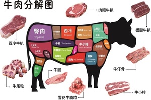 牛肉分割图海报贴纸墙贴鲜牛肉分解图壁画排酸牛肉分解图海报贴纸