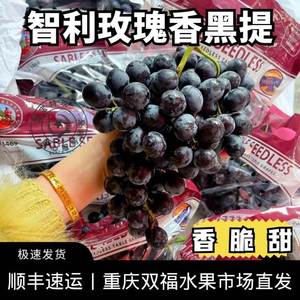 智利玫瑰香黑提葡萄新鲜进口品种水果斤5斤黑提子黑加仑蓝莓葡萄