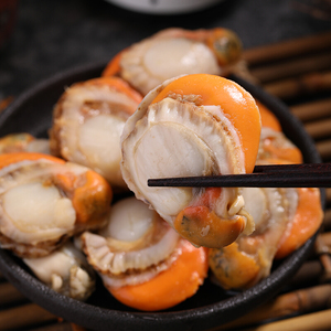 1斤日月贝 新鲜冷冻海捕半壳元贝扇贝肉每日现开烧烤食材商用