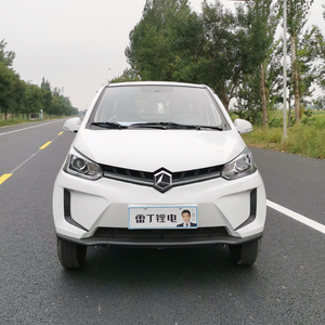 雷丁d80电动汽车油电两用锂电家用代步新能源电瓶轿车电动四轮车