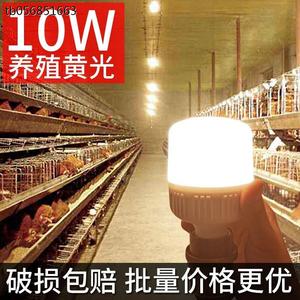 LED灯泡暖光鸡舍专用灯节能E27螺口超亮led蛋鸡商用大功率养殖