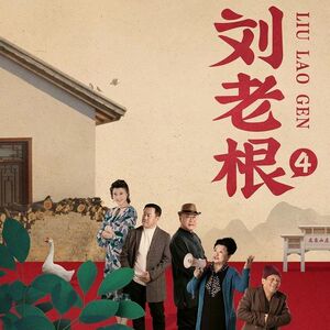 刘老根dvd