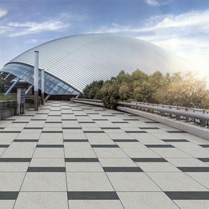 仿花岗岩pc砖火烧面广场砖18仿石材庭院地板砖室外防滑大理石地砖