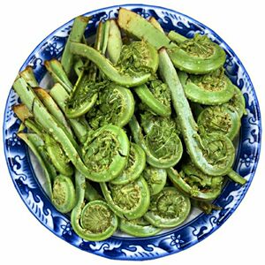 黄瓜香东北特产广东菜野山菜黄瓜香新鲜焯水广东菜荚果蕨野生蕨菜