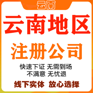 大理营业执照昆明公司注册丽江报税个体工商变更注销商标logo设计