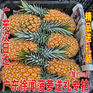 广东次日达徐闻菠萝送礼品装整箱约30斤精品大菠萝糖心香甜无渣