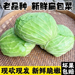 新鲜大扁平包菜5斤绿甘蓝农家自种卷心菜莲花白白菜生吃蔬菜沙拉