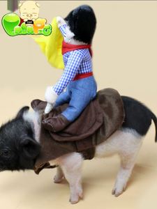 毕加猪精品超搞笑宠物小香猪骑马衣服猪猪服饰小香猪变身服装包邮