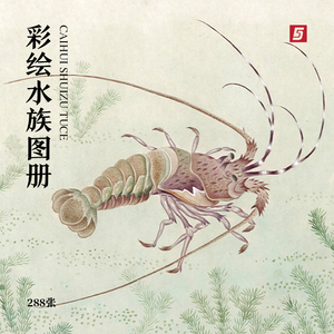 彩绘水族图册古代中国鱼类虾类海洋幻想生物博物画图鉴手绘素材图