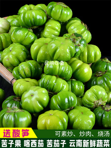 云南苦子果苦茄子洋颠茄保山德宏傣族小吃特产新鲜蔬菜下单送酸笋