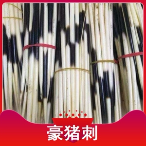 豪猪刺豪猪刺云南箭猪刺猪刺泡酒苏格毛磨粉发簪牙签浮标茶针鱼票