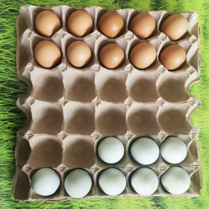 纸浆蛋托硬双黄鸡蛋托纸蛋托养殖运输礼盒纸鸡蛋托无洞