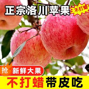 正宗陕西洛川平苹果新鲜水果当季红富士萍果脆甜十斤10斤包邮整箱