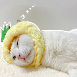 菠萝头猫情侣头像图片