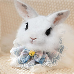 兔子项圈兔围脖宠物项圈装饰侏儒兔饰品学院风项链JK风格宠物用品