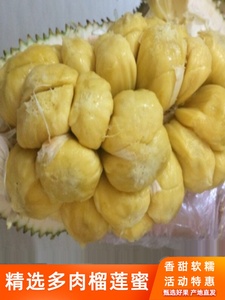 新鲜榴莲蜜巴掌多肉尖蜜拉小菠萝蜜湿包热带水果泰国进口品种迷你