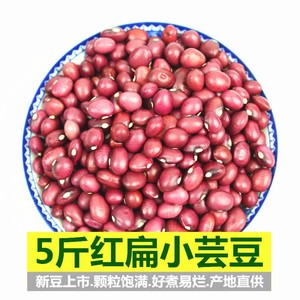 扁红小豆