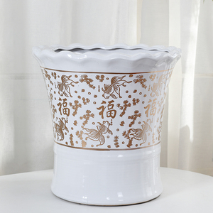 白色花盆琴叶榕