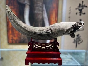 独角兽头骨高档仿真化石标本摆件客厅送礼