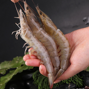 鲜冻虾厄瓜多尔白虾鲜活超大南美白对虾冷速冻基围虾海虾大虾14斤