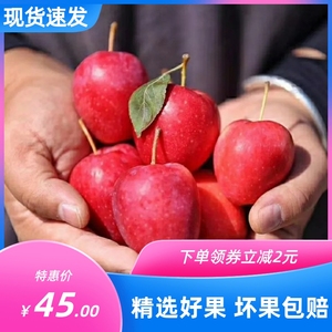 新疆伊犁香妃海棠果鸡心小苹果当季新鲜水果新鲜脆甜5斤整箱