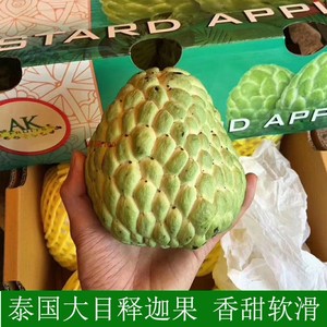 泰国大目释迦果5斤大果进口品种甜蜜番荔枝佛头果当季新鲜水果发